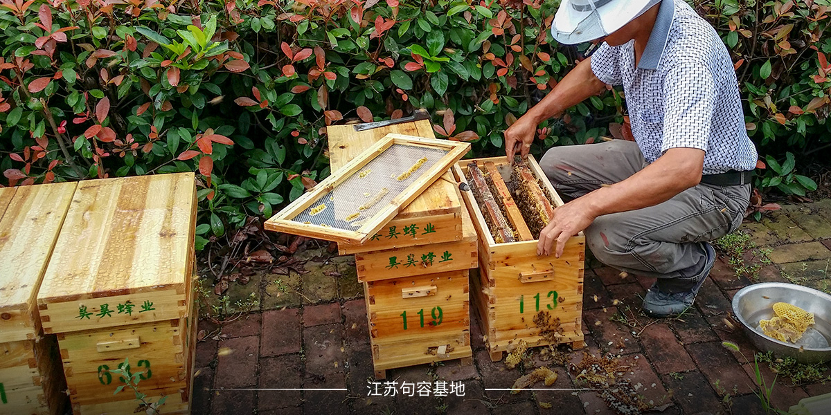 江蘇句容基地